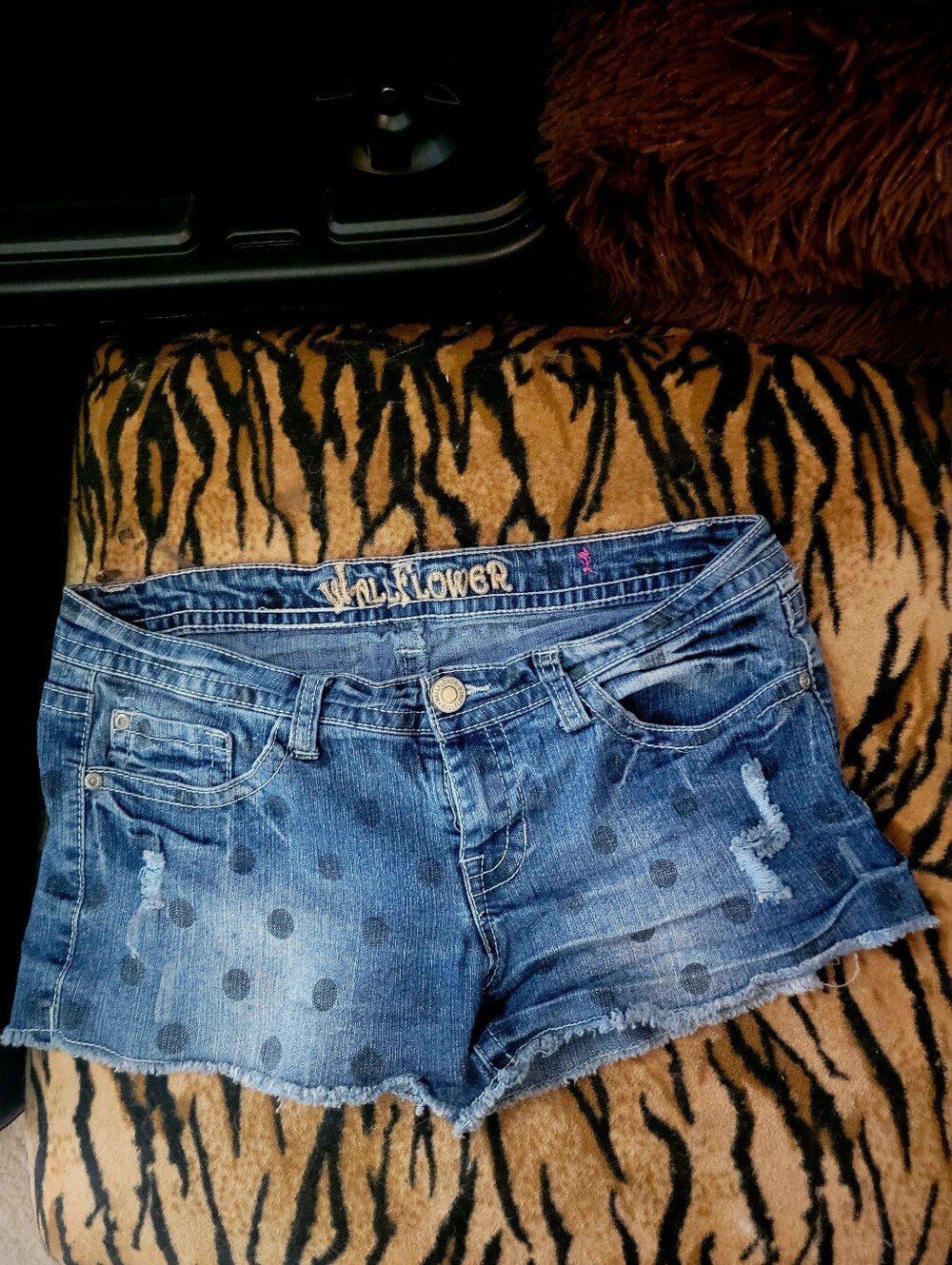 Wallflower Blue Polka Dot Distressed Denim Low Rise Shorts Sz 9